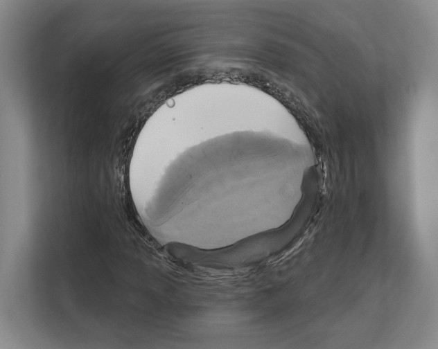 X0000111831013200909031509