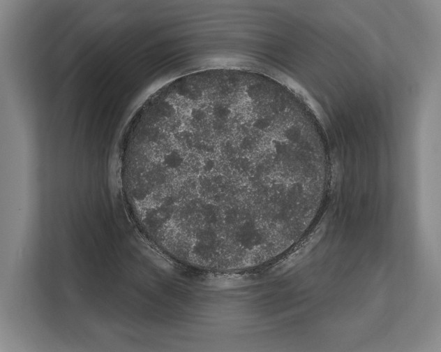X0000111831019200909031509