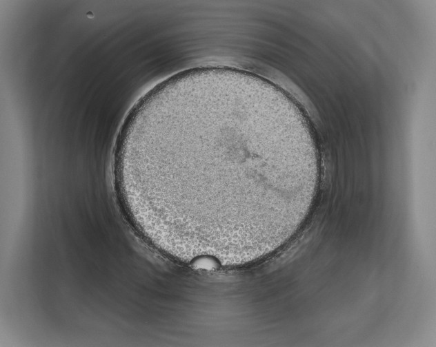 X0000111831020200909031509