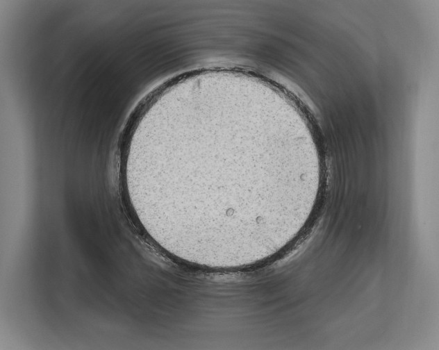 X0000111831021200909031509