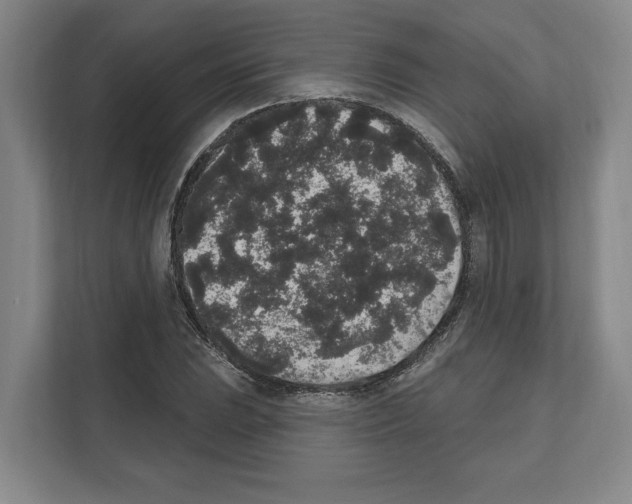 X0000111831023200909031509