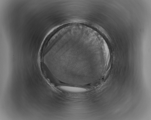 X0000111831024200909031509