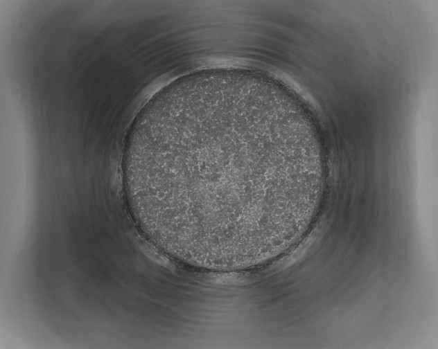 X0000111831025200909031509
