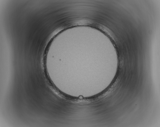 X0000111831026200909031509