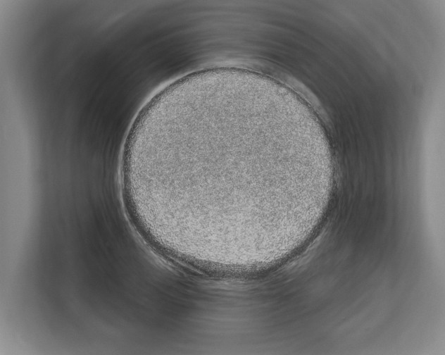X0000111831028200909031509