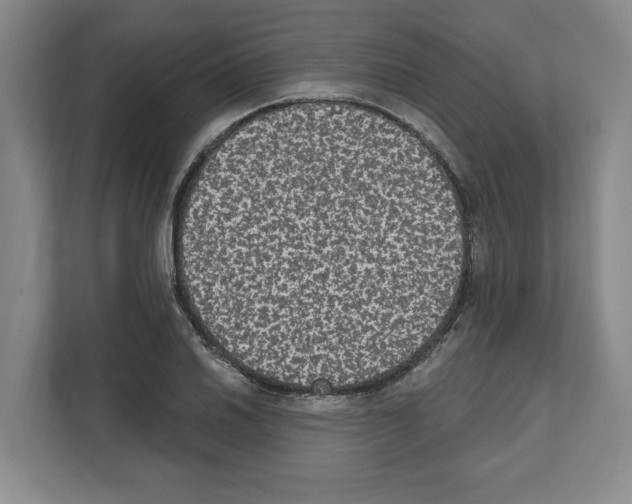 X0000111831030200909031509