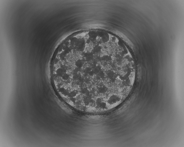X0000111831031200909031509
