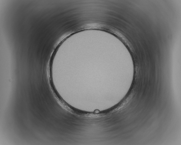 X0000111831034200909031509