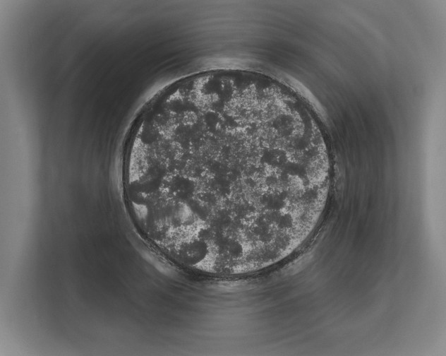 X0000111831035200909031509