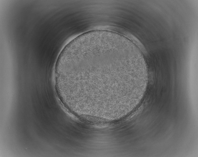 X0000111831036200909031509