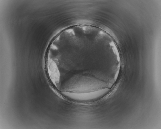 X0000111831037200909031509