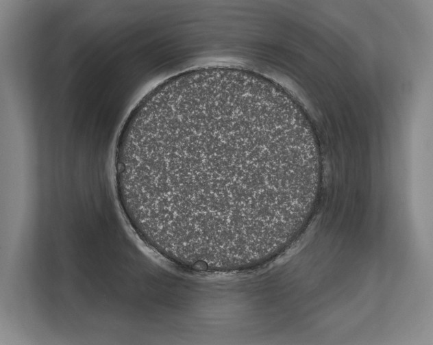 X0000111831038200909031509
