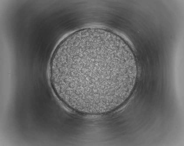 X0000111831040200909031509