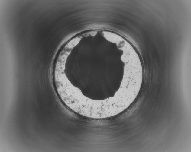 X0000111831045200909031509