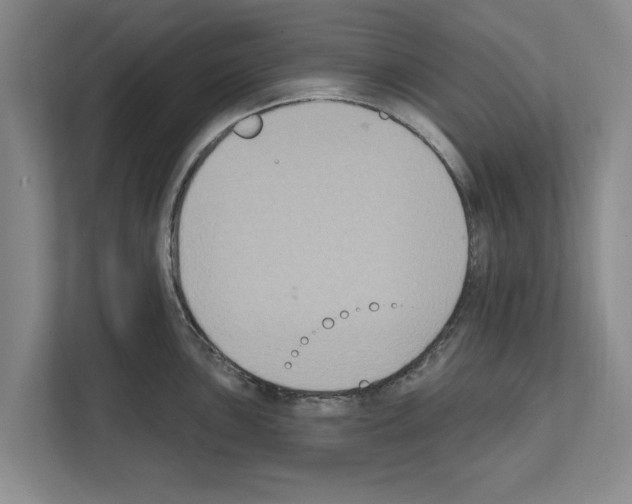 X0000111831051200909031509