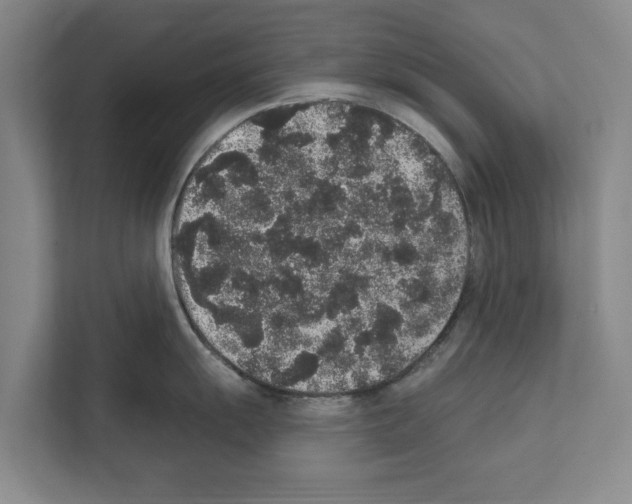 X0000111831055200909031509