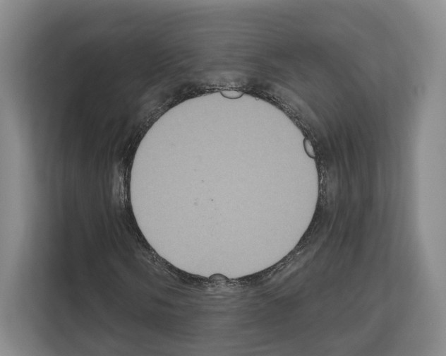 X0000111831058200909031509