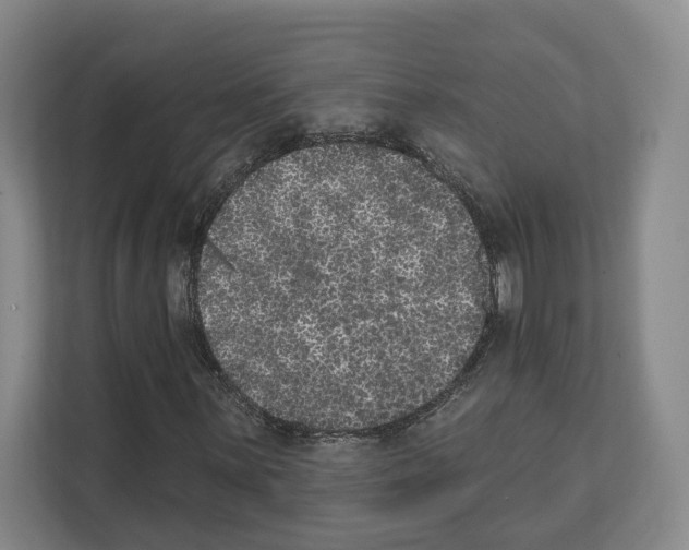 X0000111831059200909031509