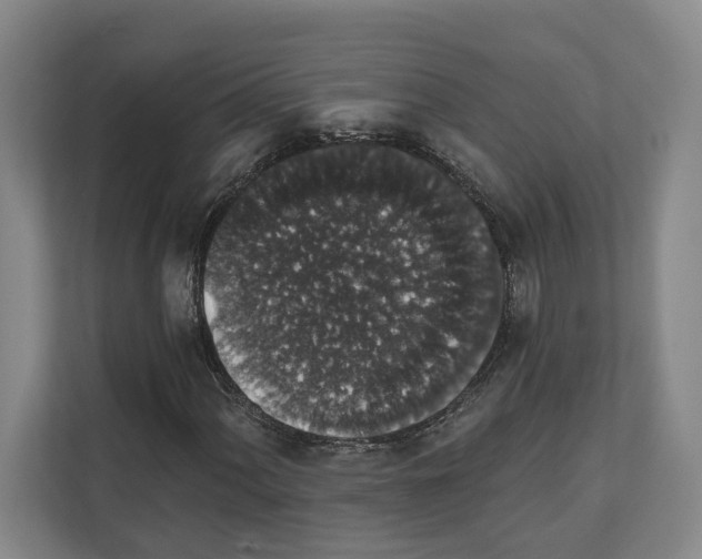 X0000111831060200909031509
