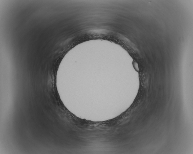 X0000111831061200909031509