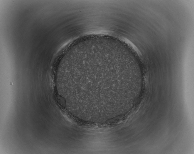 X0000111831064200909031509