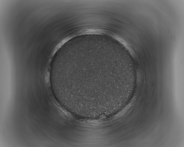 X0000111831066200909031509