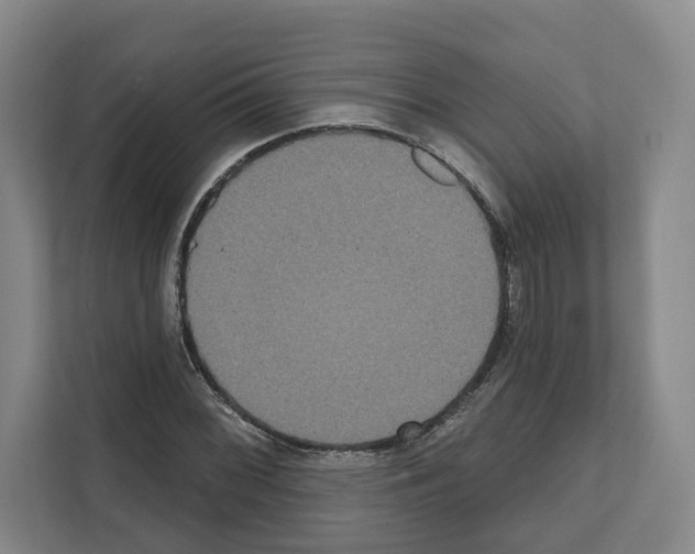 X0000111831068200909031509