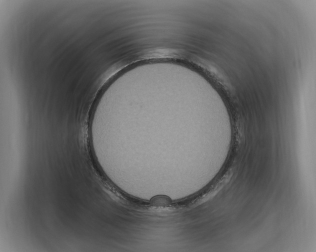 X0000111831073200909031509