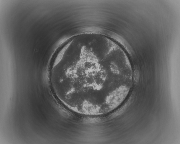 X0000111831074200909031509