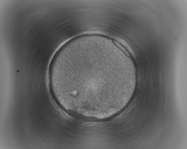 X0000111831076200909031509