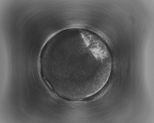X0000111831077200909031509