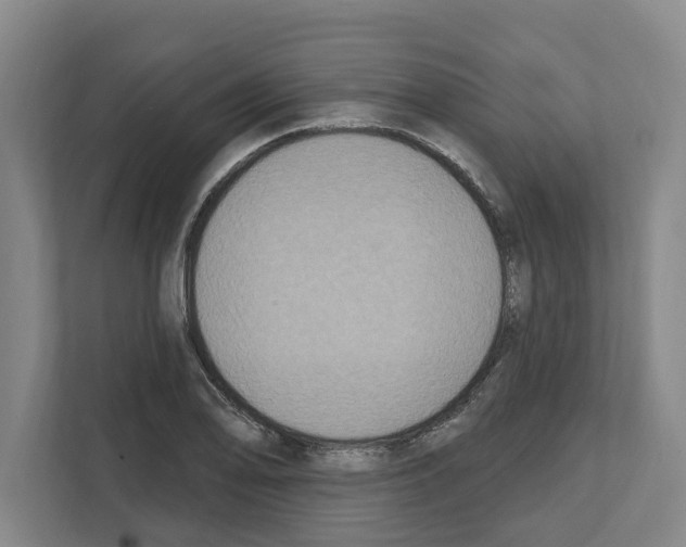 X0000111831078200909031509