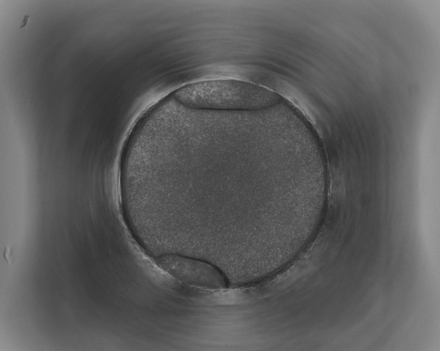 X0000111831080200909031509
