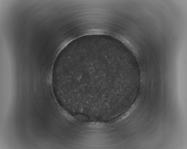 X0000111831081200909031509
