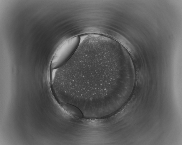 X0000111831084200909031508