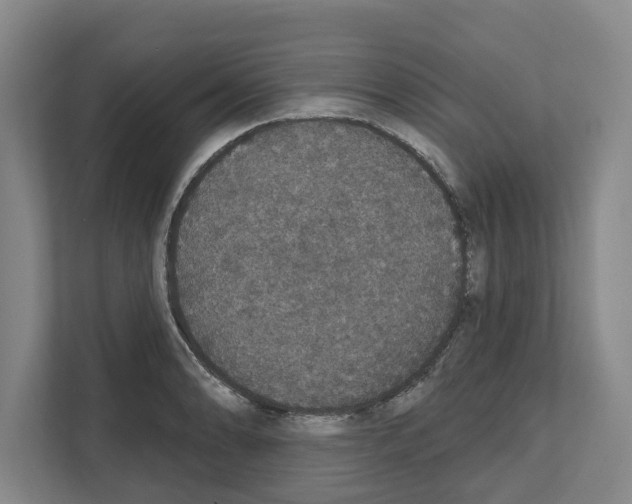 X0000111831086200909031508