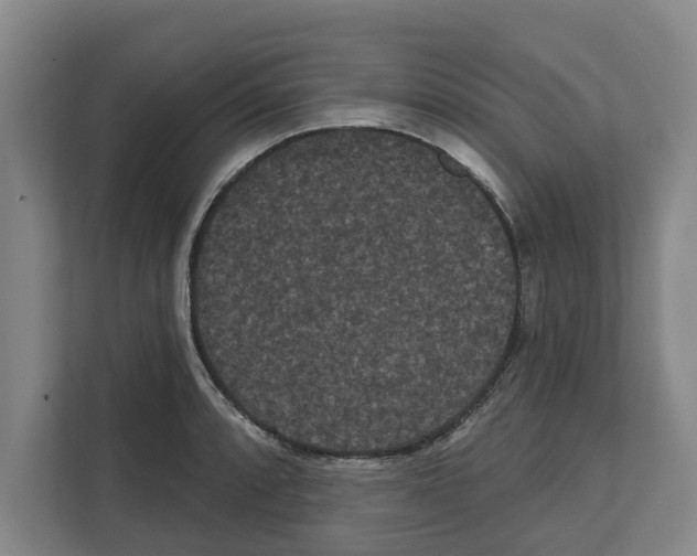 X0000111831088200909031508
