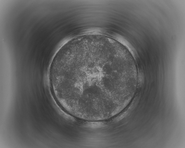 X0000111831090200909031508