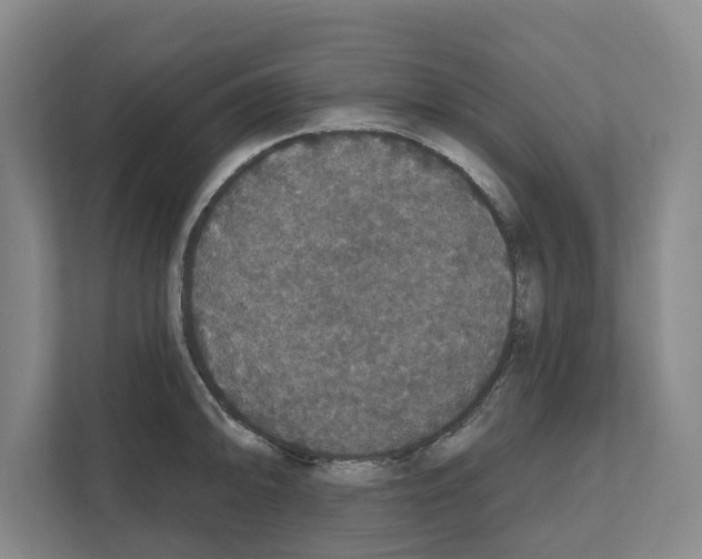 X0000111831094200909031508