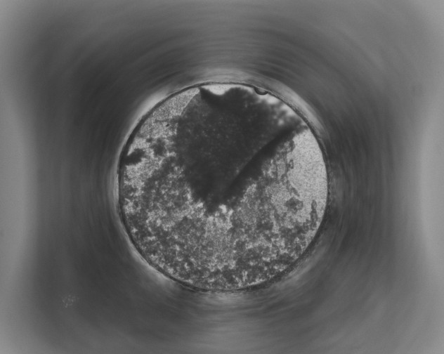 X0000111831095200909031508