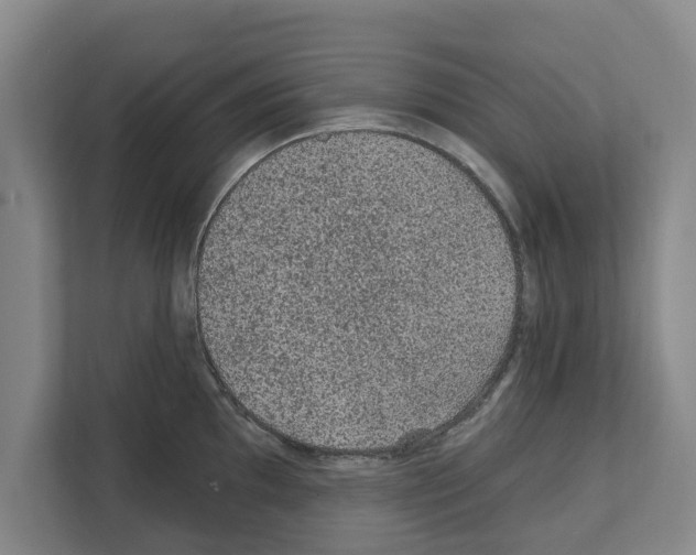 X0000111831097200909031508