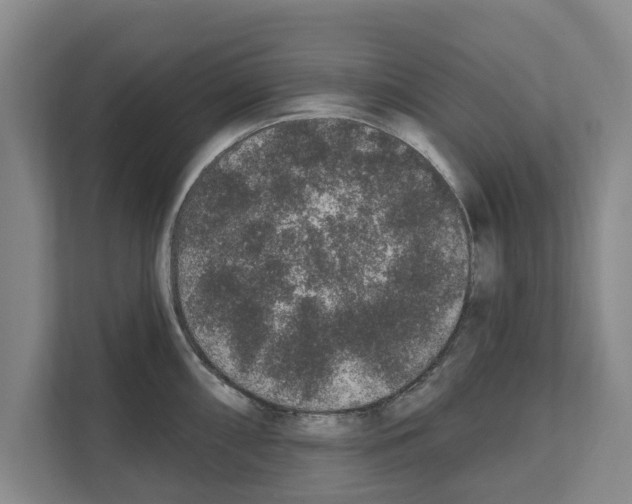 X0000111831098200909031508