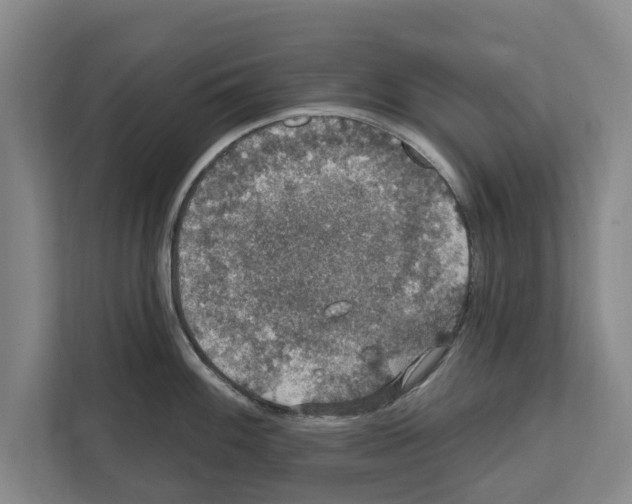 X0000111831100200909031508
