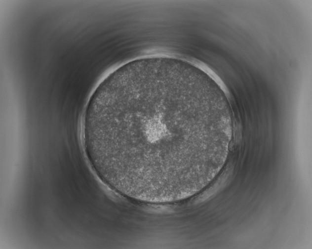 X0000111831101200909031508