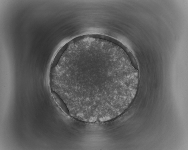 X0000111831104200909031508