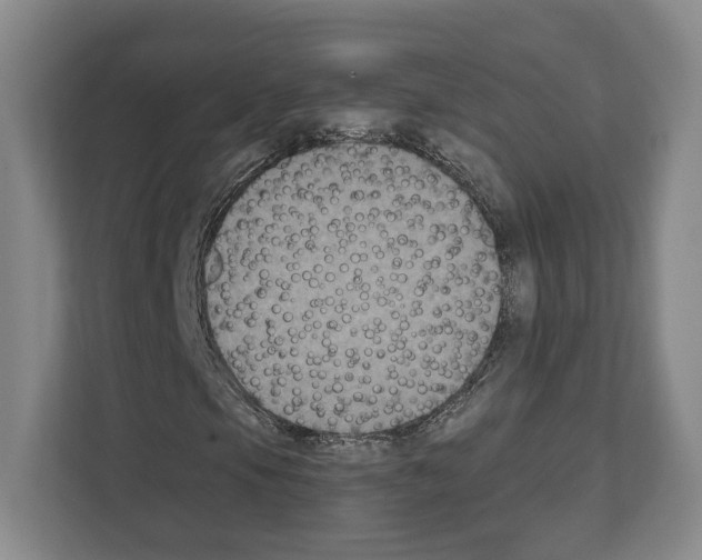 X0000111831105200909031508