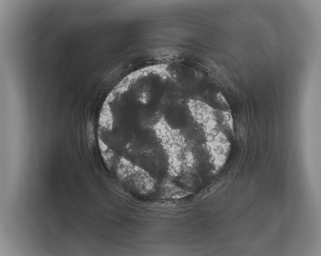 X0000111831106200909031508
