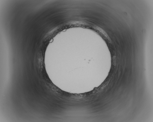 X0000111831111200909031508