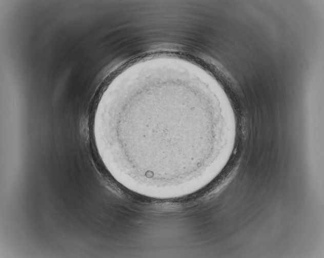 X0000111831113200909031508