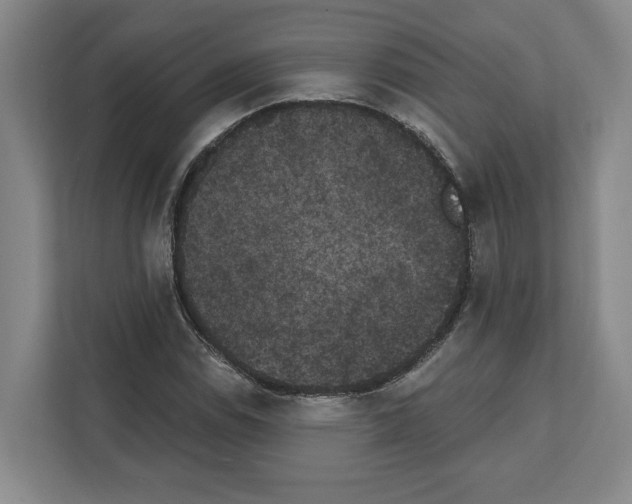 X0000111831114200909031508